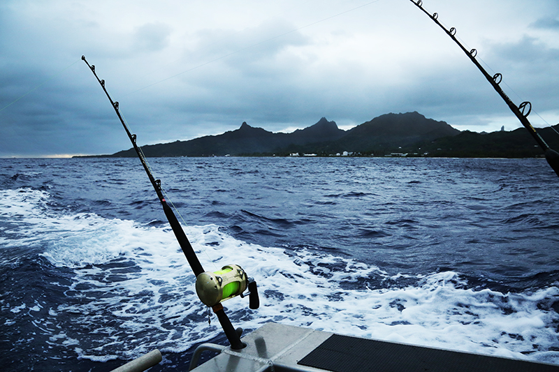 Marlin Queen Fishing Charters : Rarotonga : Business News Photos : Richard Moore : Photographer